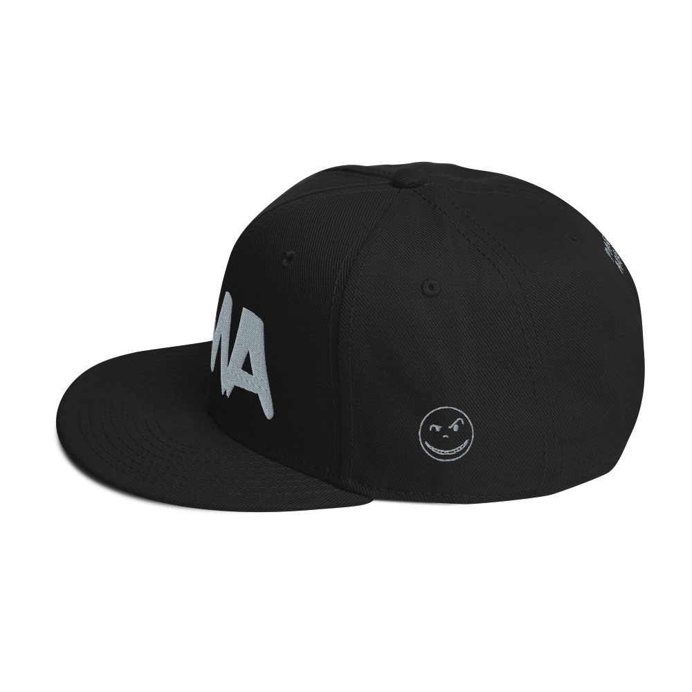 PMA CUSTOMIZABLE - 3D Snapback Hat
